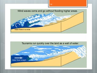 50




     Nuno Correia 11/12
 