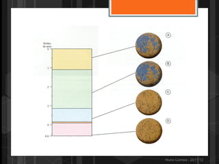 Nuno Correia - 2011/12
 
