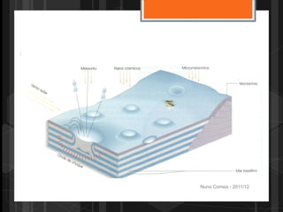 Nuno Correia - 2011/12
 