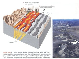 13




Nuno Correia 11/12        
 