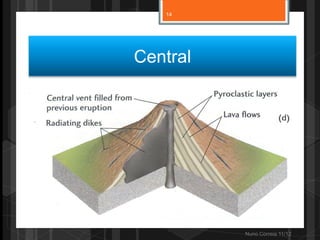 14




Central




          Nuno Correia 11/12
 