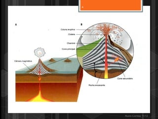 4




    Nuno Correia 11/12
 