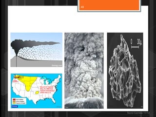 49




     Nuno Correia 11/12
 