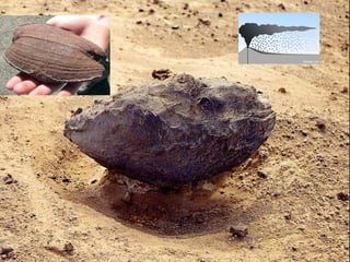 51




     Nuno Correia 11/12
 