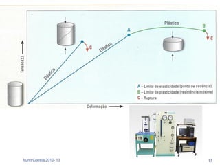 Nuno Correia 2012- 13   17
 