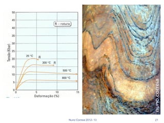 Nuno Correia 2012- 13   21
 