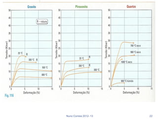 Nuno Correia 2012- 13   22
 