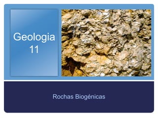 Geologia
  11



       Rochas Biogénicas
 