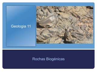 Geologia 11
Rochas Biogénicas
 