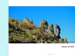 Cabeço do Velho



Nuno Correia               11
 