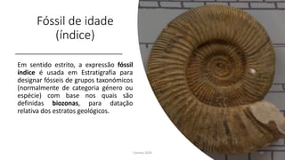 Fóssil de idade
(índice)
Em sentido estrito, a expressão fóssil
índice é usada em Estratigrafia para
designar fósseis de grupos taxonómicos
(normalmente de categoria género ou
espécie) com base nos quais são
definidas biozonas, para datação
relativa dos estratos geológicos.
Correia 2020 10
 