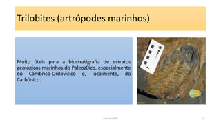 Trilobites (artrópodes marinhos)
Muito úteis para a biostratigrafia de estratos
geológicos marinhos do Paleoz0ico, especialmente
do Câmbrico-Ordovícico e, localmente, do
Carbónico.
Correia 2020 12
 