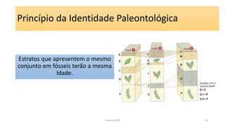 Princípio da Identidade Paleontológica
Estratos que apresentem o mesmo
conjunto em fósseis terão a mesma
Idade.
Correia 2020 16
 