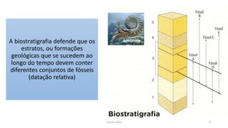 A biostratigrafia defende que os
estratos, ou formações
geológicas que se sucedem ao
longo do tempo devem conter
diferentes conjuntos de fósseis
(datação relativa)
Correia 2020 3
 