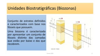 Unidades Biostratigráficas (Biozonas)
Conjunto de estratos definidos
e caracterizados com base nos
fósseis que possuem.
Uma biozona é caracterizada
por apresentar um conjunto de
fósseis distinto das camadas
que estão por baixo e das que
recobrem.
Correia 2020 4
 