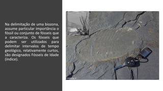 Na delimitação de uma biozona,
assume particular importância o
fóssil ou conjunto de fósseis que
a caracteriza. Os fósseis que
podem ser utilizados para
delimitar intervalos de tempo
geológico, relativamente curtos,
são designados Fósseis de Idade
(índice).
Correia 2020 9
 