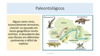 Paleontológicos
Alguns seres vivos,
essencialmente terrestres,
viveram no passado em
locais geográficos muito
restritos. A descoberta dos
seus fósseis em diferentes
continentes é difícil de
explicar.
Correia 2020 6
 