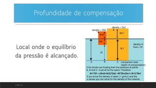 Profundidade de compensação
Local onde o equilíbrio
da pressão é alcançado.
CORREIA 20 9
 