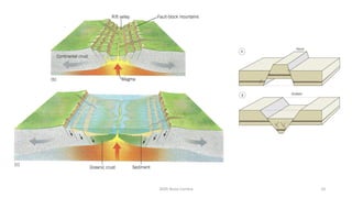 2020 Nuno Correia 10
 