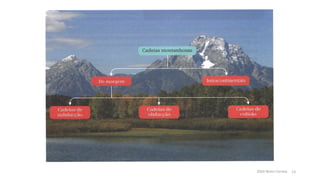 2020 Nuno Correia 13
 