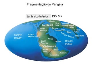 Jurássico Inferior
Fragmentação do Pangéia
 