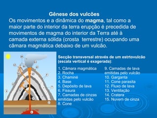 Gênese dos vulcões
Os movimentos e a dinâmica do magma, tal como a
maior parte do interior da terra erupção é precedida de
movimentos de magma do interior da Terra até à
camada externa sólida (crosta terrestre) ocupando uma
câmara magmática debaixo de um vulcão.
Secção transversal através de um estrtovulcão
(escala vertical é exagerada):
1. Câmara magmática
2. Rocha
3. Chaminé
4. Base
5. Depósito de lava
6. Fissura
7. Camadas de cinzas
emitidas pelo vulcão
8. Cone
9. Camadas de lava
emitidas pelo vulcão
10. Garganta
11. Cone parasita
12. Fluxo de lava
13. Ventilação
14. Cratera
15. Nuvem de cinza
 