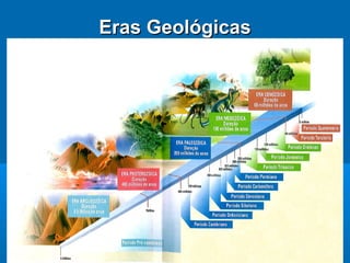 Eras GeológicasEras Geológicas
 