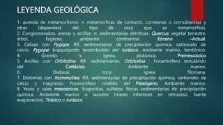 LEYENDA GEOLÓGICA
1. aureola de metamorfismo: rr metamórficas de contacto. corneanas o cornubianitas y
otras (dependerá del tipo de roca que se metamorfice).
2. Conglomerados, arenas y arcillas: rr. sedimentarias detríticas. Quercus: vegetal terrestre,
árbol, fagácea, ambiente continental. Eóceno –Actual.
3. Calizas con Pygope. RR. sedimentarias de precipitación química, carbonato de
calcio. Pygope: braquiópodo terebrátulido del Jurásico. Ambiente marino, bentónico.
4. Granito: rr. ígnea, plutónica. Premesozoico
5. Arcillas con Orbitolina. RR. sedimentarias. Orbitolina : Foraminífero textulárido
del Cretácico. Ambiente marino.
6. Diabasa: roca ígnea filoniana.
7. Dolomías con Nummulites. RR. sedimentarias de precipitación química, carbonato de
calcio y magnesio. Foraminífero rotálido del Paleógeno. Ambiente marino.
8. Yesos y sales mesozoicos. Evaporitas, sulfatos. Rocas sedimentarias de precipitación
química. Ambiente marino o lacustre (mares interiores en retroceso, fuerte
evaporación). Triásico o Jurásico
 