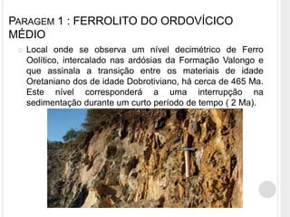 PARAGEM 1 : FERROLITO DO ORDOVÍCICO
MÉDIO
    Local onde se observa um nível decimétrico de Ferro
     Oolítico, intercalado nas ardósias da Formação Valongo e
     que assinala a transição entre os materiais de idade
     Oretaniano dos de idade Dobrotiviano, há cerca de 465 Ma.
     Este nível corresponderá a uma interrupção na
     sedimentação durante um curto período de tempo ( 2 Ma).
 