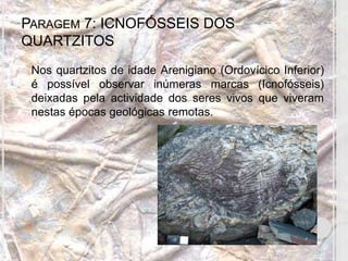 PARAGEM 7: ICNOFÓSSEIS DOS
QUARTZITOS
   Nos quartzitos de idade Arenigiano (Ordovícico Inferior)
    é possível observar inúmeras marcas (Icnofósseis)
    deixadas pela actividade dos seres vivos que viveram
    nestas épocas geológicas remotas.
 