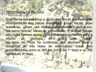 TECTÓNICA DA REGIÃO
   Entende-se por tectónica a acção das forças resultantes da
    movimentação das placas litosféricas. Essas forças, ditas
    tectónicas, geram nas rochas (pré-existentes) estruturas,
    tais como dobras, falhas ou xistosidades. A análise dessas
    estruturas fornece dados extremamente importantes para o
    estudo     da    geologia    de     uma    dada     região.
    Na serra da Freita há evidências que apontam para a
    existência de três fases de deformação, todas elas
    compreendidas entre os 360 Ma (inicio da 1ª fase) e os 308
    Ma (fim da 3ª fase).
 