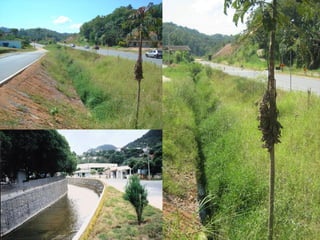 Geologia de engenharia