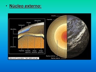 • Núcleo externo:
 