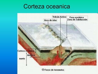 Corteza oceanica
 