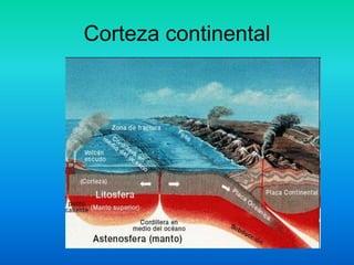 Corteza continental
 
