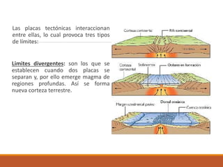 Las placas tectónicas interaccionan
entre ellas, lo cual provoca tres tipos
de límites:
Limites divergentes: son los que se
establecen cuando dos placas se
separan y, por ello emerge magma de
regiones profundas. Así se forma
nueva corteza terrestre.
 