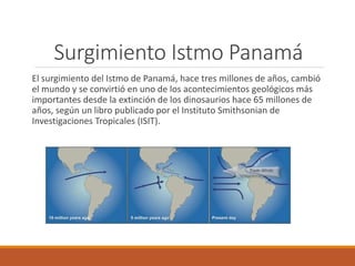 Surgimiento Istmo Panamá
El surgimiento del Istmo de Panamá, hace tres millones de años, cambió
el mundo y se convirtió en uno de los acontecimientos geológicos más
importantes desde la extinción de los dinosaurios hace 65 millones de
años, según un libro publicado por el Instituto Smithsonian de
Investigaciones Tropicales (ISIT).
 
