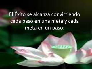 El Éxito se alcanza convirtiendo
cada paso en una meta y cada
meta en un paso.
 