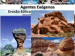 Agentes Exógenos
 