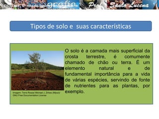 Tipos de solo e suas características
O solo é a camada mais superficial da
crosta terrestre, é comumente
chamado de chão ou terra. É um
elemento natural e de
fundamental importância para a vida
de várias espécies, servindo de fonte
de nutrientes para as plantas, por
exemplo.
CIÊNCIAS , 6º Ano do Ensino Fundamental
Tipos de solo e suas características
Imagem: Terra Rossa/ Michael J. Zirbes (Mijozi)/
GNU Free Documentation License
 