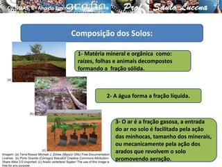 1- Matéria mineral e orgânica como:
raízes, folhas e animais decompostos
formando a fração sólida.
2- A água forma a fração líquida.
Composição dos Solos:
3- O ar é a fração gasosa, a entrada
do ar no solo é facilitada pela ação
das minhocas, tamanho dos minerais,
ou mecanicamente pela ação dos
arados que revolvem o solo
promovendo aeração.
CIÊNCIAS, 6º Ano do Ensino Fundamental
Tipos de solo e suas características
Imagem: (a) Terra Rossa/ Michael J. Zirbes (Mijozi)/ GNU Free Documentation
License; (b) Porto Grande (Córrego)/ Natus63/ Creative Commons Attribution-
Share Alike 3.0 Unported; (c) Arado vertedera/ Sqater/ The use of this image is
free for any purpose
(a)
(b)
(c)
 