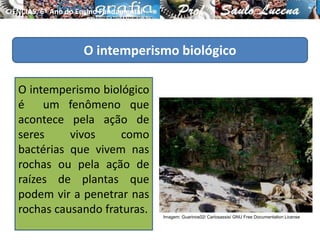 O intemperismo biológico
O intemperismo biológico
é um fenômeno que
acontece pela ação de
seres vivos como
bactérias que vivem nas
rochas ou pela ação de
raízes de plantas que
podem vir a penetrar nas
rochas causando fraturas.
CIÊNCIAS, 6º Ano do Ensino Fundamental
Tipos de solo e suas características
Imagem: Guarinos02/ Carlosassis/ GNU Free Documentation License
 