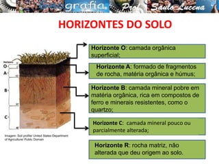 Horizonte A: formado de fragmentos
de rocha, matéria orgânica e húmus;
Horizonte B: camada mineral pobre em
matéria orgânica, rica em compostos de
ferro e minerais resistentes, como o
quartzo;
Horizonte C: camada mineral pouco ou
parcialmente alterada;
Horizonte R: rocha matriz, não
alterada que deu origem ao solo.
Horizonte O: camada orgânica
superficial;
Imagem: Soil profile/ United States Department
of Agriculture/ Public Domain
HORIZONTES DO SOLO
 