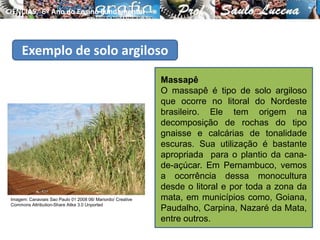 Exemplo de solo argiloso
Massapê
O massapê é tipo de solo argiloso
que ocorre no litoral do Nordeste
brasileiro. Ele tem origem na
decomposição de rochas do tipo
gnaisse e calcárias de tonalidade
escuras. Sua utilização é bastante
apropriada para o plantio da cana-
de-açúcar. Em Pernambuco, vemos
a ocorrência dessa monocultura
desde o litoral e por toda a zona da
mata, em municípios como, Goiana,
Paudalho, Carpina, Nazaré da Mata,
entre outros.
CIÊNCIAS, 6º Ano do Ensino Fundamental
Tipos de solo e suas características
Imagem: Canaviais Sao Paulo 01 2008 06/ Mariordo/ Creative
Commons Attribution-Share Alike 3.0 Unported
 