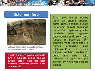 Solo humífero
É um solo rico em húmus
tanto de origem vegetal,
como raízes e folhas, quanto
de origem animal, derivados
da matéria orgânica que foi
reciclada pelos agentes
decompositores do solo como
fungos e bactérias. Um
exemplo muito conhecido é o
húmus produzido pela
minhoca. É um solo de cor
escura também conhecido
como terra preta, muito
utilizado na agricultura por
ser rico em nutrientes para as
plantas.
O solo humífero possui cerca de
10% a mais de húmus que os
outros solos. Rico em sais
minerais, bastante poroso e de
boa aeração.
CIÊNCIAS , 6º Ano do Ensino Fundamental
Tipos de solo e suas características
Imagem: A soil profile on Kilner Bank - geograph.org.uk –
92677/ Chris Yeates/ Creative Commons Atribuição-Partilha
nos Termos da Mesma Licença 2.0 Genérica
 