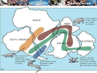 A Deriva Continental postulou o movimento das
massas continentais ao longo do tempo geológico,
considerando que os atuais continentes possuíam
outras formas e localizações.
 