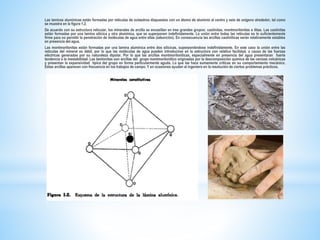 Las laminas aluminicas están formadas por retículas de octaedros dispuestos con un átomo de aluminio al centro y seis de oxigeno alrededor, tal como
se muestra en la figura 1.2.
De acuerdo con su estructura reticular, los minerales de arcilla se encasillan en tres grandes grupos: caolinitas, montmorilonitas e ilitas. Las caolinitas
están formadas por una lamina silícica y otra aluminica, que se superponen indefinidamente. La unión entre todas las retículas es lo suficientemente
firme para no permitir la penetración de moléculas de agua entre ellas (adsorción). En consecuencia las arcillas caoliniticas serán relativamente estables
en presencia del agua.
Las montmorilonitas están formadas por una lamina aluminica entre dos silícicas, superponiéndose indefinidamente. En este caso la unión entre las
retículas del mineral es débil, por lo que las moléculas de agua pueden introducirse en la estructura con relativa facilidad, a causa de las fuerzas
eléctricas generadas por su naturaleza dipolar. Por lo que las arcillas montmoriloniticas, especialmente en presencia del agua presentaran fuerte
tendencia a la inestabilidad. Las bentonitas son arcillas del grupo montmorilonitico originadas por la descomposición química de las cenizas volcánicas
y presentan la expansividad típica del grupo en forma particularmente aguda. Lo que las hace sumamente criticas en su comportamiento mecánico.
Estas arcillas aparecen con frecuencia en los trabajos de campo. Y en ocasiones ayudan al ingeniero en la resolución de ciertos problemas prácticos.
 
