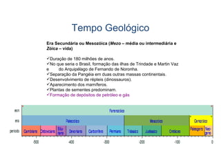 Era Secundária ou Mesozóica ( Mezo  – média ou intermediária e  Zóica  – vida) Duração de 180 milhões de anos. No que seria o Brasil, formação das ilhas de Trindade e Martin Vaz e  do Arquipélago de Fernando de Noronha. Separação da Pangéia em duas outras massas continentais. Desenvolvimento de répteis (dinossauros). Aparecimento dos mamíferos. Plantas de sementes predominam. Formação de depósitos de petróleo e gás   Tempo Geológico 