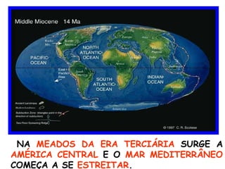 NA  MEADOS DA ERA TERCIÁRIA  SURGE A  AMÉRICA CENTRAL  E O  MAR MEDITERRÂNEO  COMEÇA A SE  ESTREITAR . 