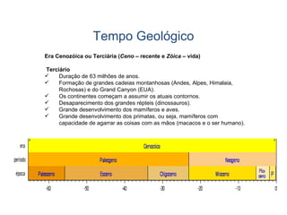 Tempo Geológico Era Cenozóica ou Terciária ( Ceno  – recente e  Zóica  – vida)   Terciário Duração de 63 milhões de anos. Formação de grandes cadeias montanhosas (Andes, Alpes, Himalaia, Rochosas) e do Grand Canyon (EUA). Os continentes começam a assumir os atuais contornos. Desaparecimento dos grandes répteis (dinossauros). Grande desenvolvimento dos mamíferos e aves. Grande desenvolvimento dos primatas, ou seja, mamíferos com capacidade de agarrar as coisas com as mãos (macacos e o ser humano). 